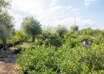 Giardino - Rustico via Carini
 
s/n, Acireale - foto 34