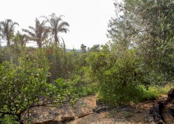 Giardino - Rustico via Carini
 
s/n, Acireale - foto 35