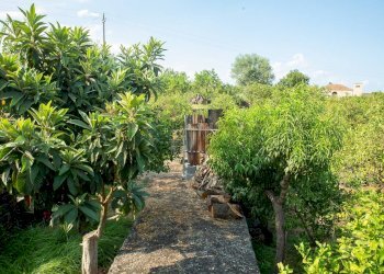 Giardino - Rustico via Carini
 
s/n, Acireale - foto 36