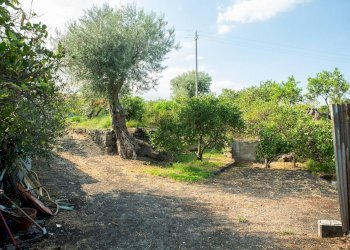 Giardino - Rustico via Carini
 
s/n, Acireale - foto 37