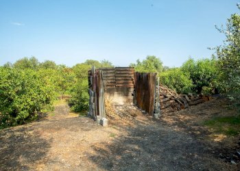 Giardino - Rustico via Carini
 
s/n, Acireale - foto 38