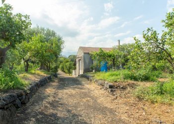 Giardino - Rustico via Carini
 
s/n, Acireale - foto 39