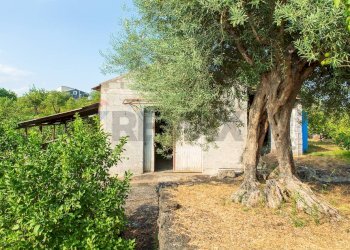 Giardino - Rustico via Carini
 
s/n, Acireale - foto 48