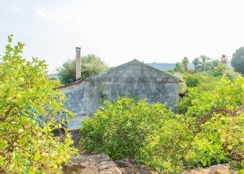 Giardino - Rustico via Carini
 
s/n, Acireale - foto 50