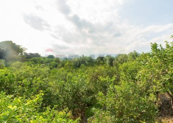 Giardino - Rustico via Carini
 
s/n, Acireale - foto 51