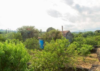 Giardino - Rustico via Carini
 
s/n, Acireale - foto 52