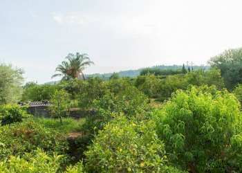 Giardino - Rustico via Carini
 
s/n, Acireale - foto 53