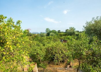 Giardino - Rustico via Carini
 
s/n, Acireale - foto 54