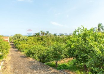 Giardino - Rustico via Carini
 
s/n, Acireale - foto 56