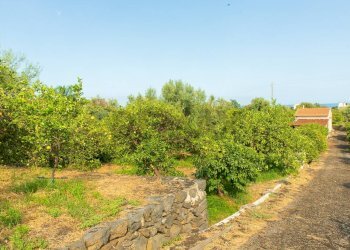 Giardino - Rustico via Carini
 
s/n, Acireale - foto 57