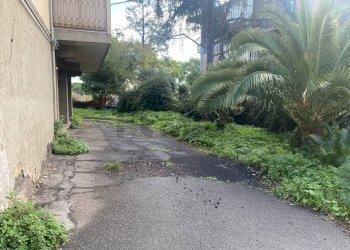 Giardino - Quadrilocale viale tirreno
 
15, Catania - foto 15