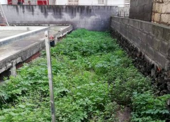 Giardino - Negozio via Roma
 
67, Camporotondo Etneo - foto 9