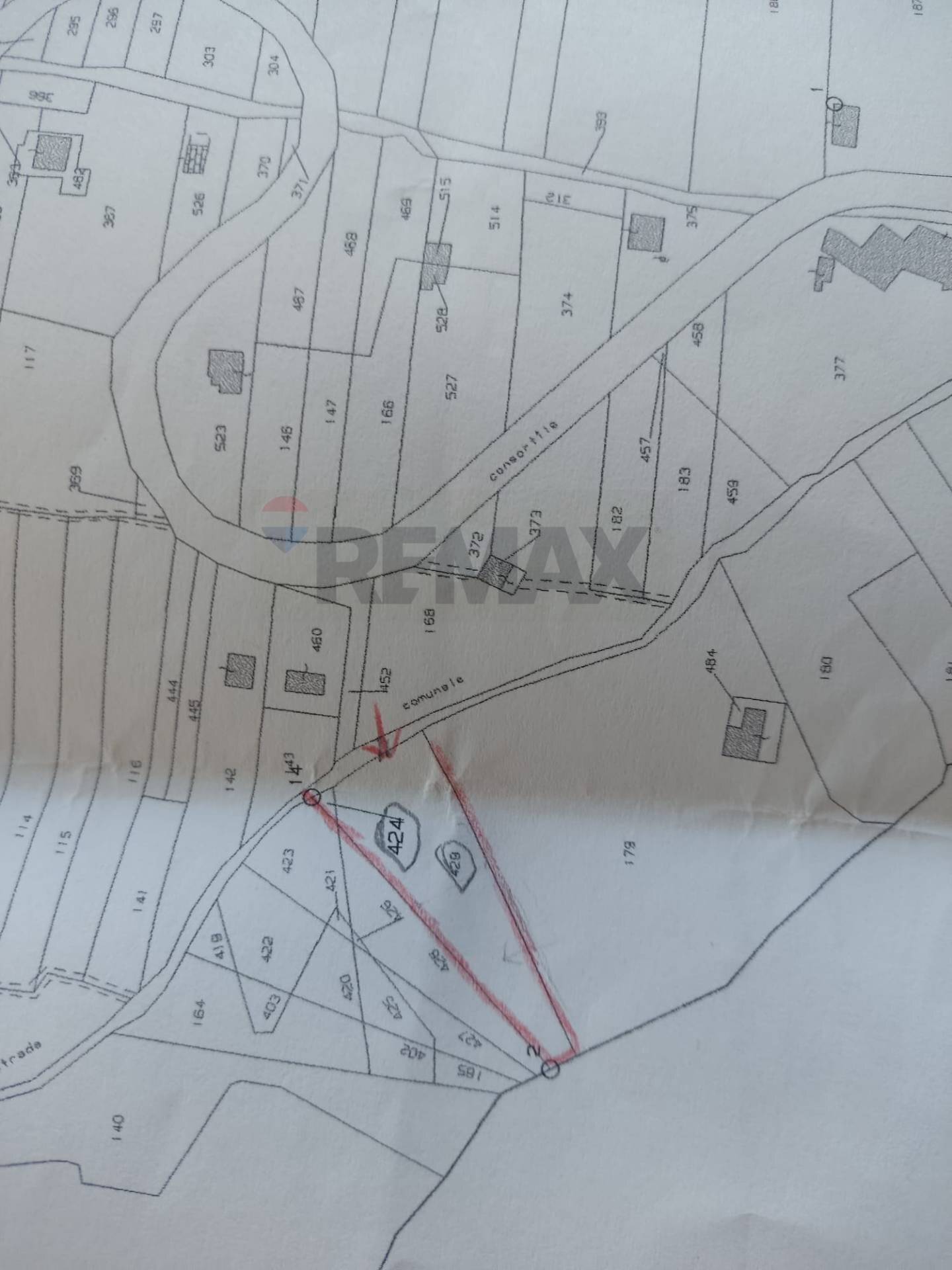 Pianta 2D - Agricultural land Strada provinciale, 92, Belpasso - floor plans 1