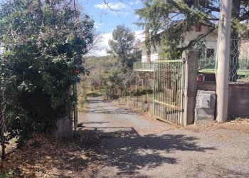 Giardino - Terreno agricolo Strada provinciale, 92, Belpasso - foto 2