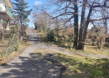 Giardino - Terreno agricolo Strada provinciale, 92, Belpasso - foto 3