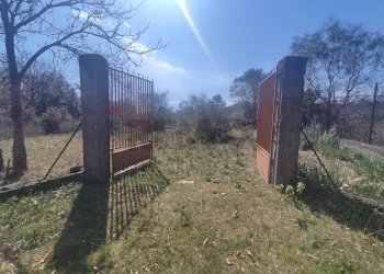 Non correlato - Terreno agricolo Strada provinciale, 92, Belpasso - foto 5