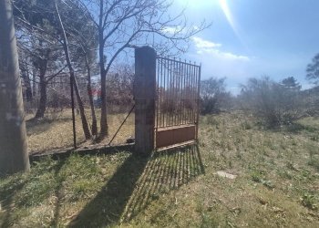 Non correlato - Terreno agricolo Strada provinciale, 92, Belpasso - foto 6