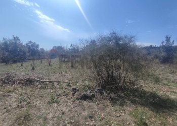 Non correlato - Terreno agricolo Strada provinciale, 92, Belpasso - foto 7