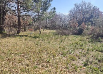 Giardino - Terreno agricolo Strada provinciale, 92, Belpasso - foto 10