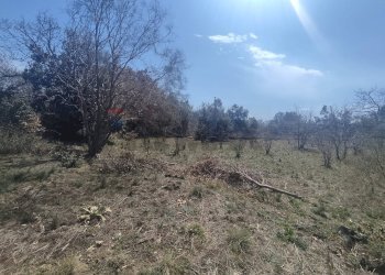 Non correlato - Terreno agricolo Strada provinciale, 92, Belpasso - foto 11