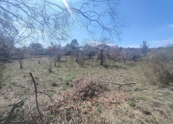 Non correlato - Terreno agricolo Strada provinciale, 92, Belpasso - foto 12