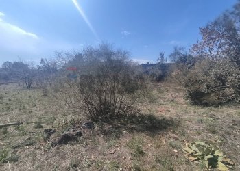 Non correlato - Terreno agricolo Strada provinciale, 92, Belpasso - foto 14