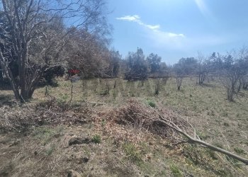 Non correlato - Terreno agricolo Strada provinciale, 92, Belpasso - foto 15