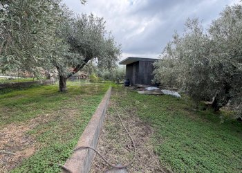 Giardino - Casa indipendente CONTRADA RUBINO
 
sn, Belpasso - foto 22