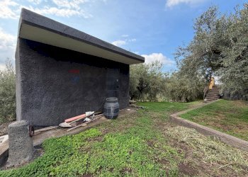 Giardino - Casa indipendente CONTRADA RUBINO
 
sn, Belpasso - foto 23