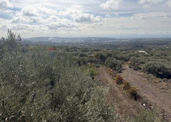 Vista delle montagne - Casa indipendente CONTRADA RUBINO
 
sn, Belpasso - foto 26