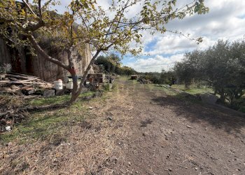 Giardino - Casa indipendente CONTRADA RUBINO
 
sn, Belpasso - foto 28
