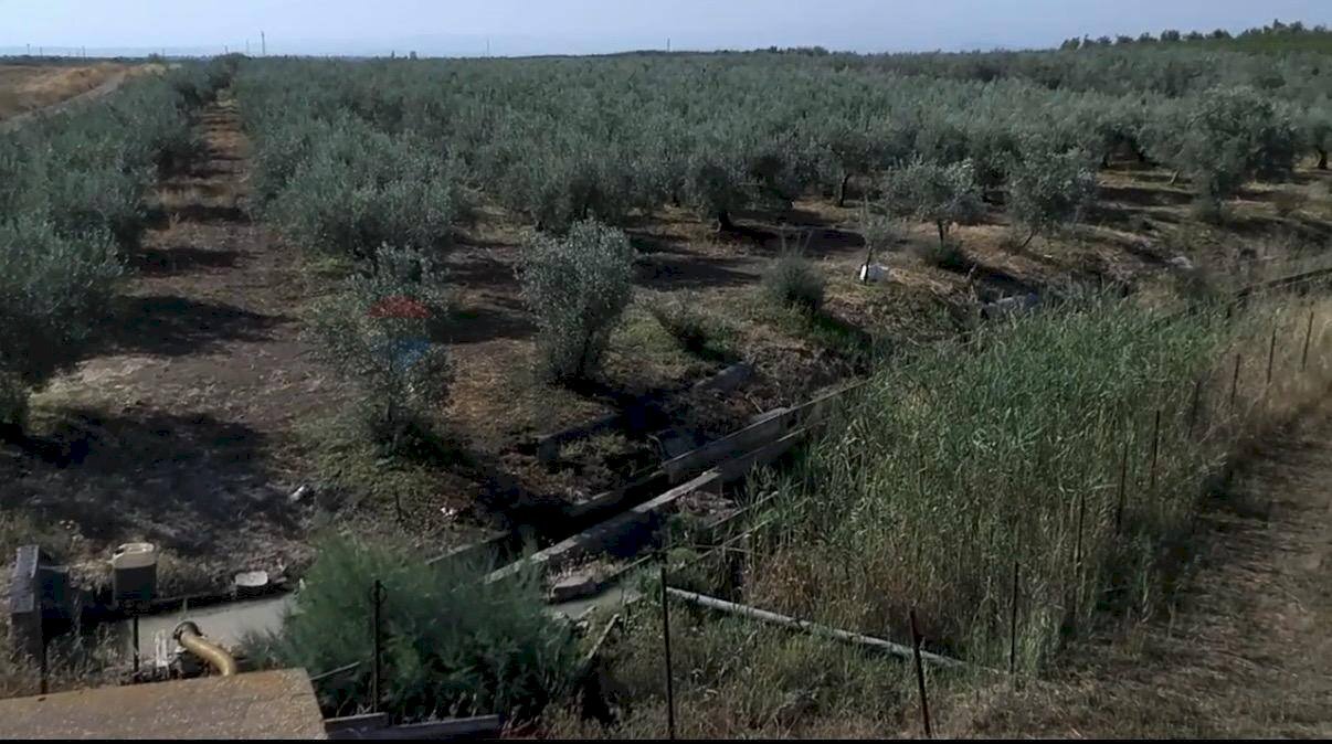 Non correlato - Agricultural land Contrada Cisterna
sn, Paterno - photo 2