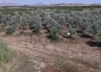 Vista delle montagne - Terreno agricolo Contrada Cisterna
sn, Paterno - foto 1