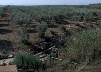 Non correlato - Terreno agricolo Contrada Cisterna
sn, Paterno - foto 2