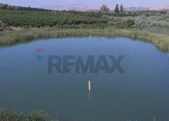 Vista dell\'acqua - Terreno agricolo Contrada Cisterna
sn, Paterno - foto 3