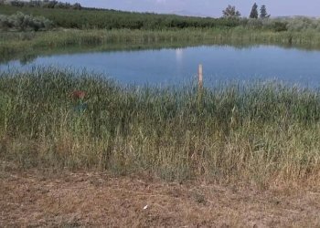 Vista dell\'acqua - Terreno agricolo Contrada Cisterna
sn, Paterno - foto 4