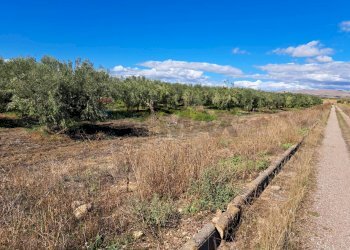 Vista delle montagne - Terreno agricolo Contrada Cisterna
sn, Paterno - foto 14
