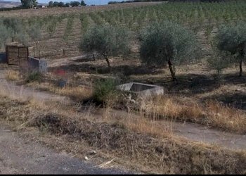 Non correlato - Terreno agricolo Contrada Cisterna
sn, Paterno - foto 16