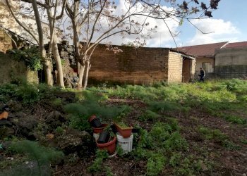 Giardino - Terreno edificabile via Gorizia
29, Belpasso - foto 7