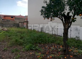 Giardino - Terreno edificabile via Gorizia
29, Belpasso - foto 8