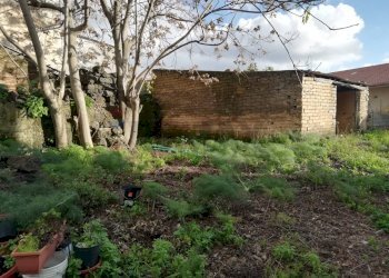 Giardino - Terreno edificabile via Gorizia
29, Belpasso - foto 9