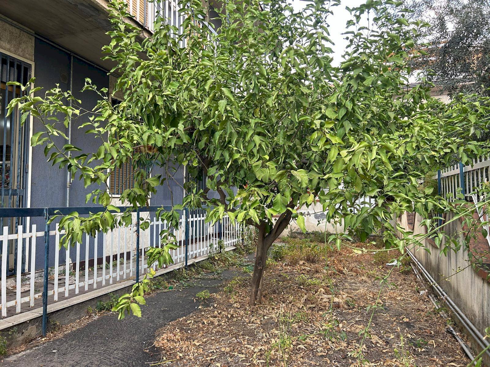 Giardino - Appartamento via Leonardo Sciascia
 
21, Belpasso - foto 1