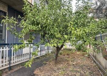 Giardino - Appartamento via Leonardo Sciascia
 
21, Belpasso - foto 1