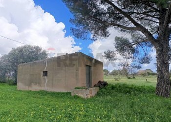 Casa all\'aperto - Terreno agricolo Piano Stella
20, Caltagirone - foto 12