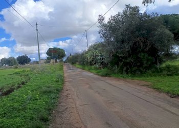 Non correlato - Terreno agricolo Piano Stella
20, Caltagirone - foto 16