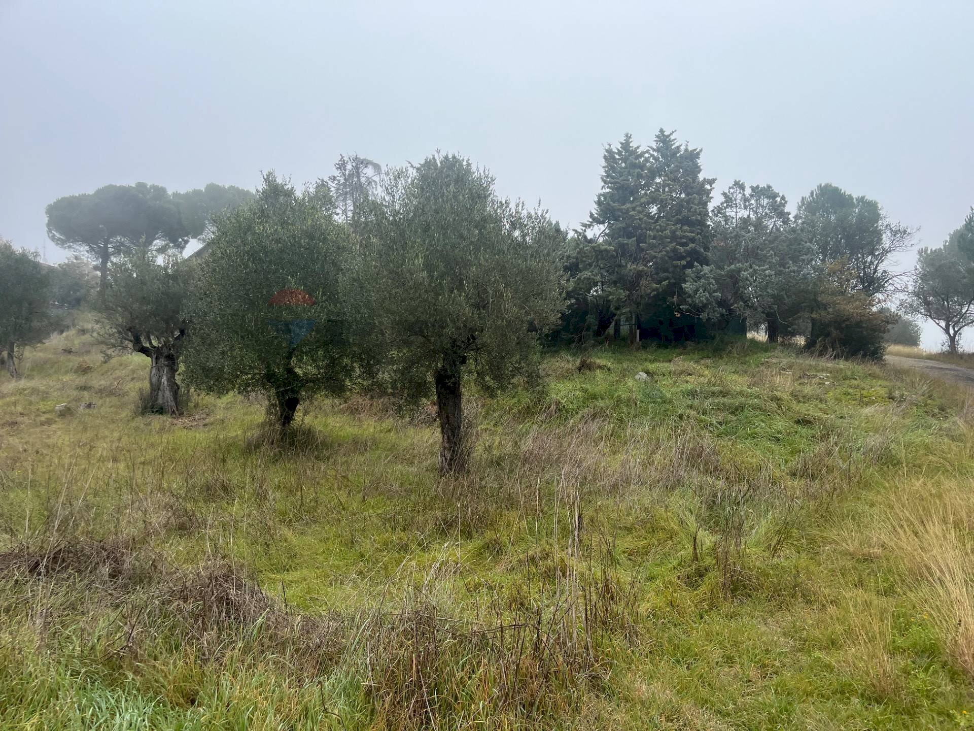 Giardino - Terreno edificabile del torrente
 
snc, Magione - foto 2