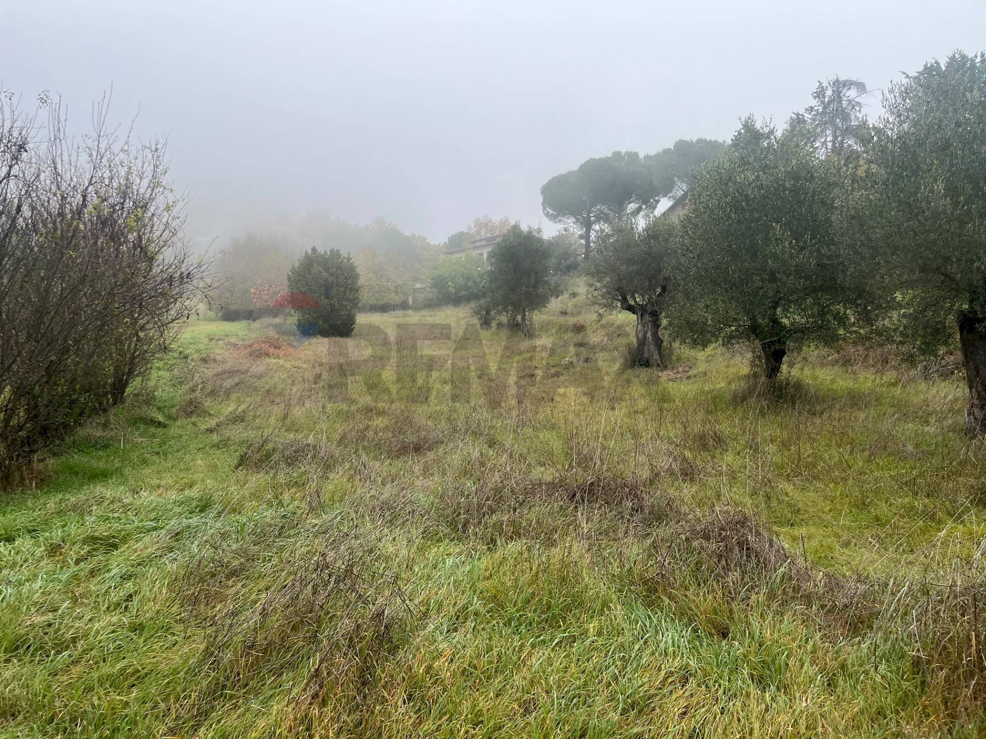 Non correlato - Terreno edificabile del torrente
 
snc, Magione - foto 3