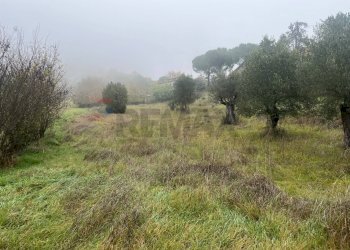 Non correlato - Terreno edificabile del torrente
 
snc, Magione - foto 3
