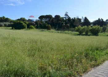 Giardino - Building land del torrente
snc, Magione - photo 13