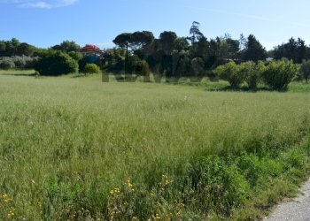 Giardino - Building land del torrente
snc, Magione - photo 14